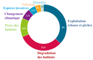 découvrez les causes et les conséquences de l'effondrement de tally, une plateforme clé dans le monde numérique. analysez comment cet événement impacte les utilisateurs et l'industrie.